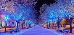 http://tonkosti.ru/show.php?id=33608267