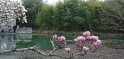 http://tonkosti.ru/show.php?id=1809791